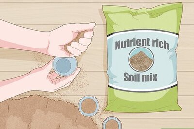 How to Plant Flowers