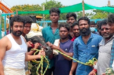 Makers of Vaadivaasal to Release Behind-The-Scenes Clip From Film on Suriya's Birthday