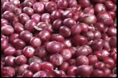 Government bans onion export, removes minimum export price