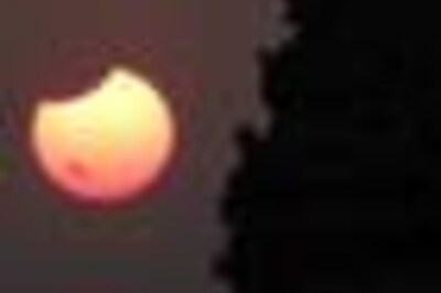 In Pics: It's a sunny dip, dip, dip