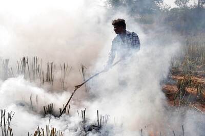Why Farmers in Delhi's Neighbouring States Burn Stubble Despite Ban