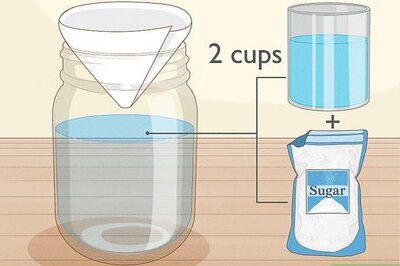 How to Get Rid of Flies in the Kitchen