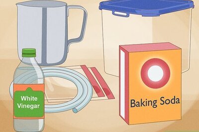 How to Humanely Kill a Rodent