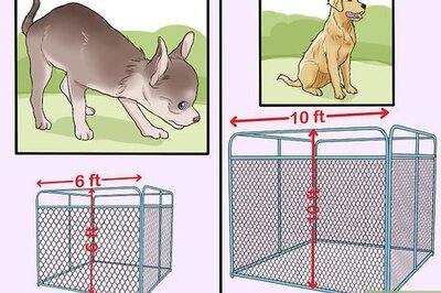 How to Build an Inexpensive Dog Kennel
