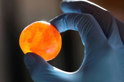 The 'Candy Crimes': Urban Legends & Shocking Crimes Have Long Dotted Murders With 'Sweets', News18 Explains