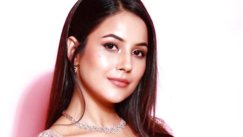 Woman Trolls Shehnaaz Gill For Taking Sympathy in Sidharth Shukla’s Name, Gets Slammed