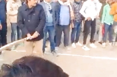 'Mafia Under Protection of Power...': SP Shares Video of Wanted Strongman Dhananjay Singh Playing Cricket