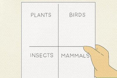 How to Celebrate Environment Day at School