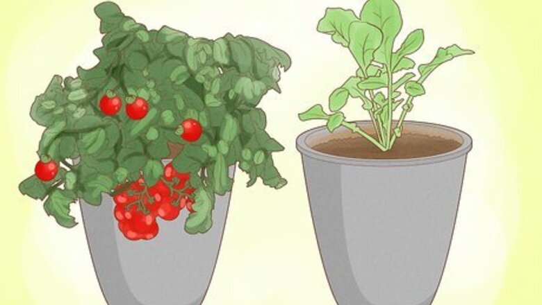 How to Make a Small Vegetable Garden