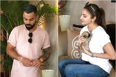 Picture of Virat Kohli, Anushka Sharma Snuggling with a Pup is Too Adorable to Miss