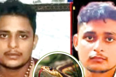 Sting In The Tail? UP's Vikas Dubey Claims Snake Bit Him 7 Times In 40 Days, But Experts Say...