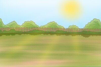 How to Grow Boysenberries