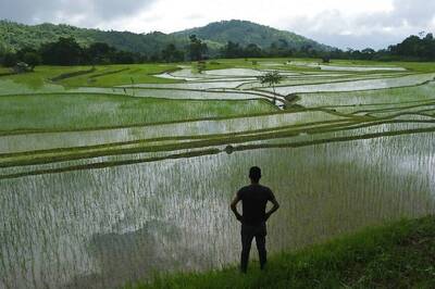 Govt Approves Setting up Agri-Infra Fund of Rs 1 Lakh Cr to Support Start-ups, Farmer Groups