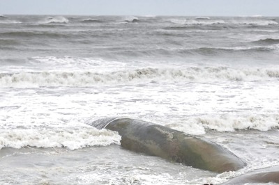 Cyclone Mocha Makes Landfall Near Bangladesh-Myanmar Border, 195-kmph Winds Create Havoc in Bay of Bengal