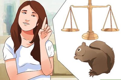 How to Make a Squirrel Snare