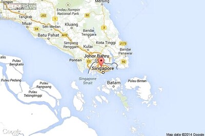 Singapore honours veteran Indian-origin social worker