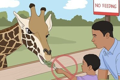 How to Behave in a Zoo