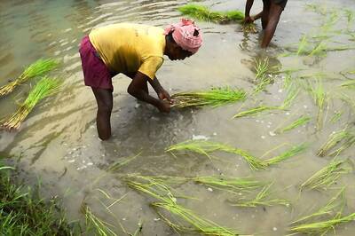 FM Arun Jaitley Reveals Formula for Fixing MSP 50% Over Production Cost