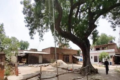 In Rajasthan's Dholpur, Residents Asked To Remain Indoors After Woman Spots Leopard