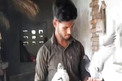 Bihar Man Goes Viral For His Instagram Reel On Training Pigeons