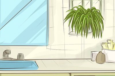 How to Choose Houseplants for the Bathroom