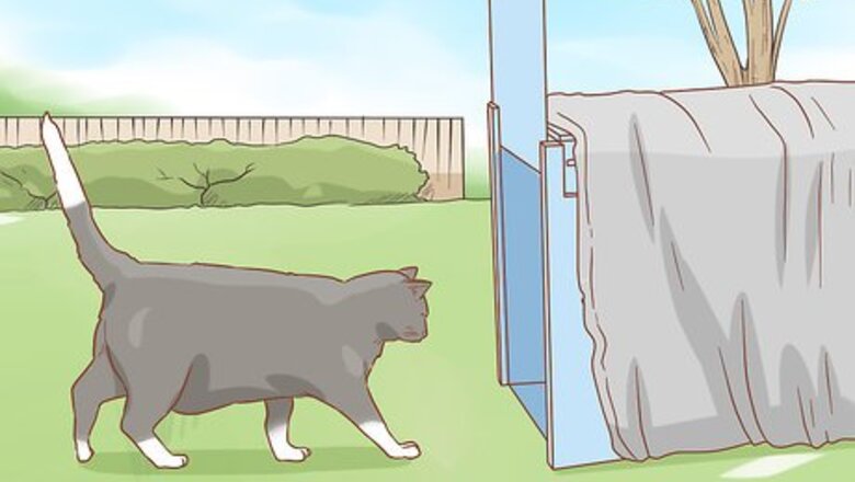 How to Get Rid of Cats
