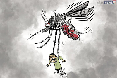 Mosquito-borne Diseases Continue to Sting Lucknow as 11 New Dengue Cases Emerge