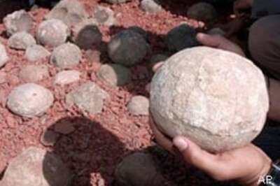 Dinosaur eggs reportedly found in MP