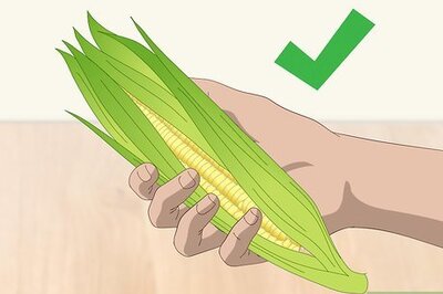 How to Store Sweet Corn