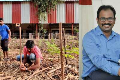 This IAS Officer is Turning a Chennai Garbage Yard Into a Lush Forest