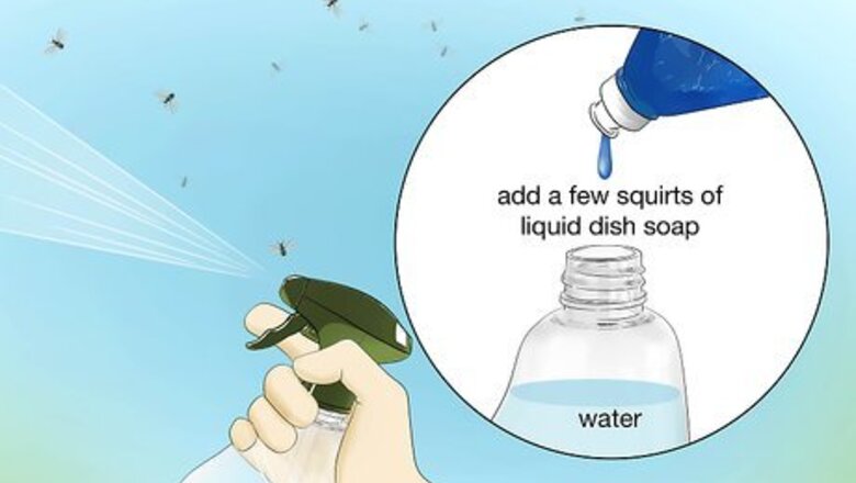How to Get Rid of Flying Ants