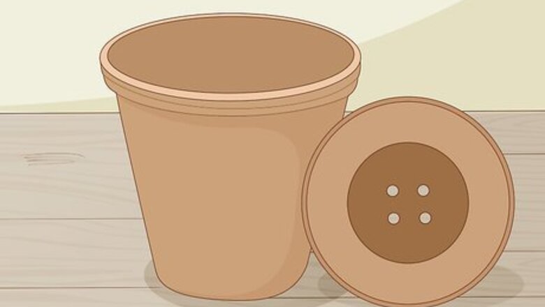 How to Plant Succulents
