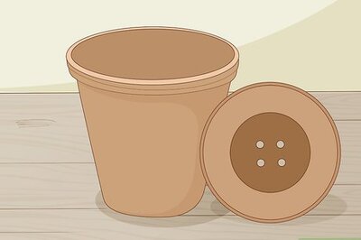 How to Plant Succulents