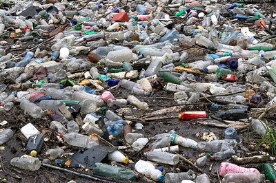 Goa Govt Bans Single-use Plastic in its Offices from October 2 in Bid to Promote Eco-friendly Items