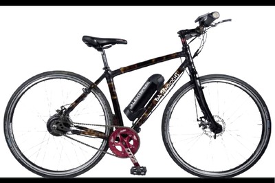 Meet 'Bamboochi': India-Made Eco-Friendly Bicycle With Bamboo Frame, Priced at Rs 1.5 Lakh