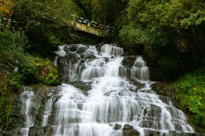 Top Destinations to Celebrate Christmas in India