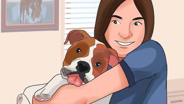 How to Become Your Dogs' Playmate