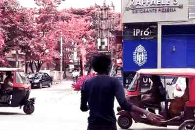 Bengaluru Man Posts About Guy Consistently Selling Water Lillies And Tweeple Somehow Recognise Him