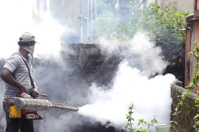 Dengue Cases on Rise: Here’s How You Can Protect Yourself