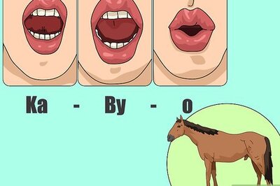 How to Say Horse in Spanish