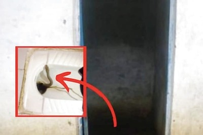 Maharashtra Man Hears Sound From Toilet Seat, Discovers 10-feet-long Snake