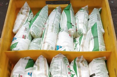 Amul, Mother Dairy Hike Milk Prices by Rs 2 Per Litre From Today; Know Details