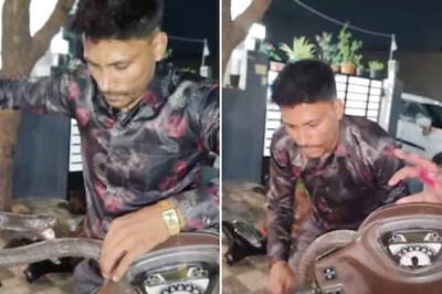 Watch: Snake Catcher Rescues Cobra Hiding Inside A Scooter In Indore