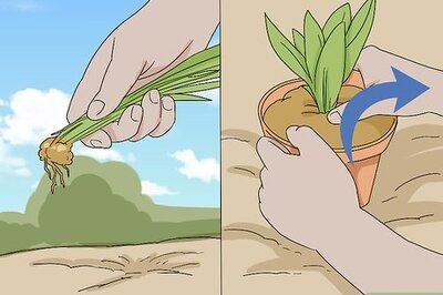 How to Make a Gravel Garden