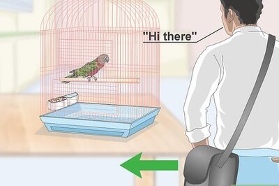 How to Teach a Hawk‐Headed Parrot to Speak