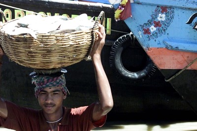 Hilsa Lovers Rejoice as Bangladesh to Export More Fish Ahead of Durga Puja