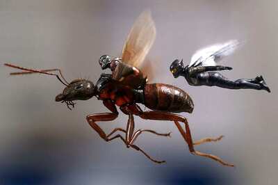 Ant-Man And The Wasp Movie Review: It's More Sure-footed Than Its Predecessor