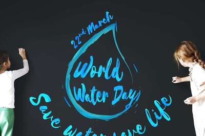 World Water Day 2024: Theme, History, Significance, and 5 Simple Steps to Conserve Water