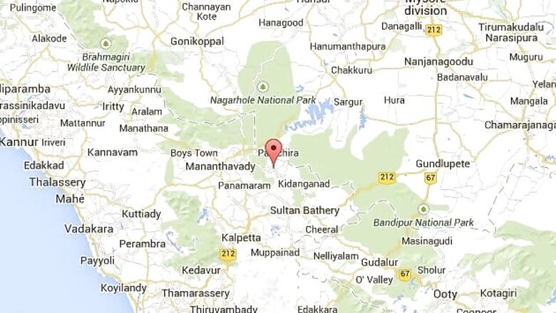 Monkey fever claims woman's life in Kerala