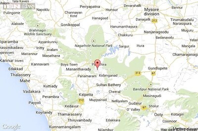 Monkey fever claims woman's life in Kerala